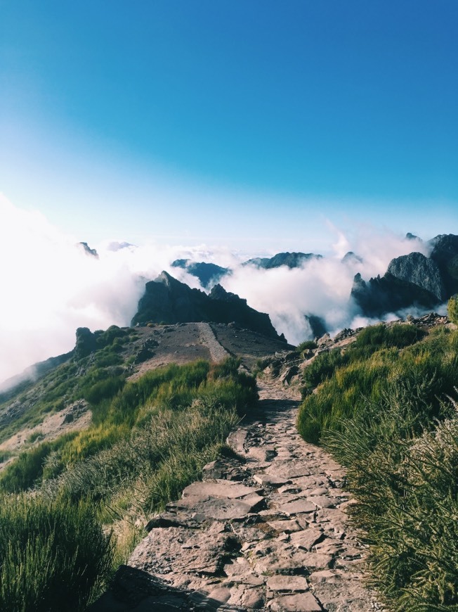 Place Pico do Areeiro