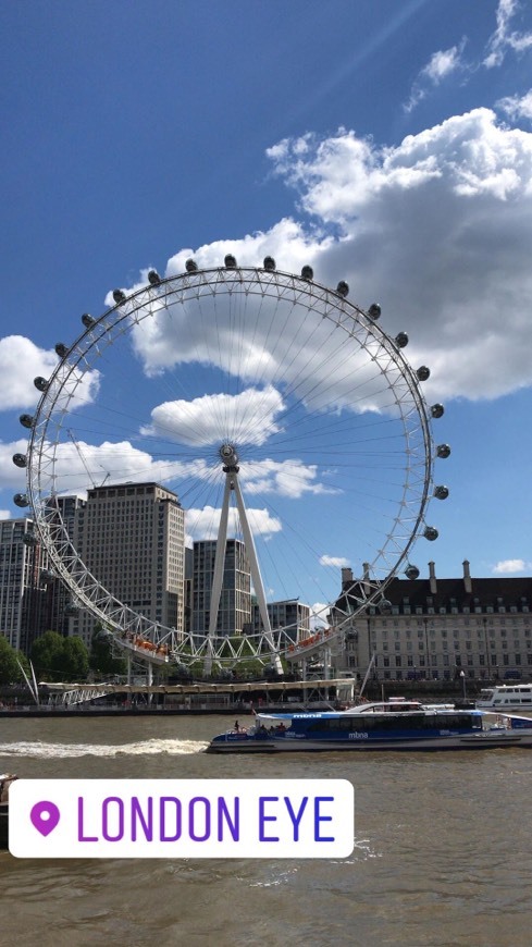 Place London Eye