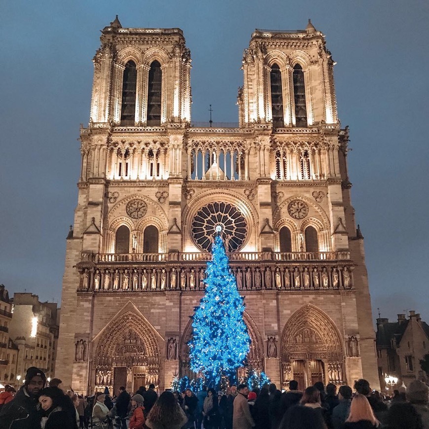 Place Notre Dame