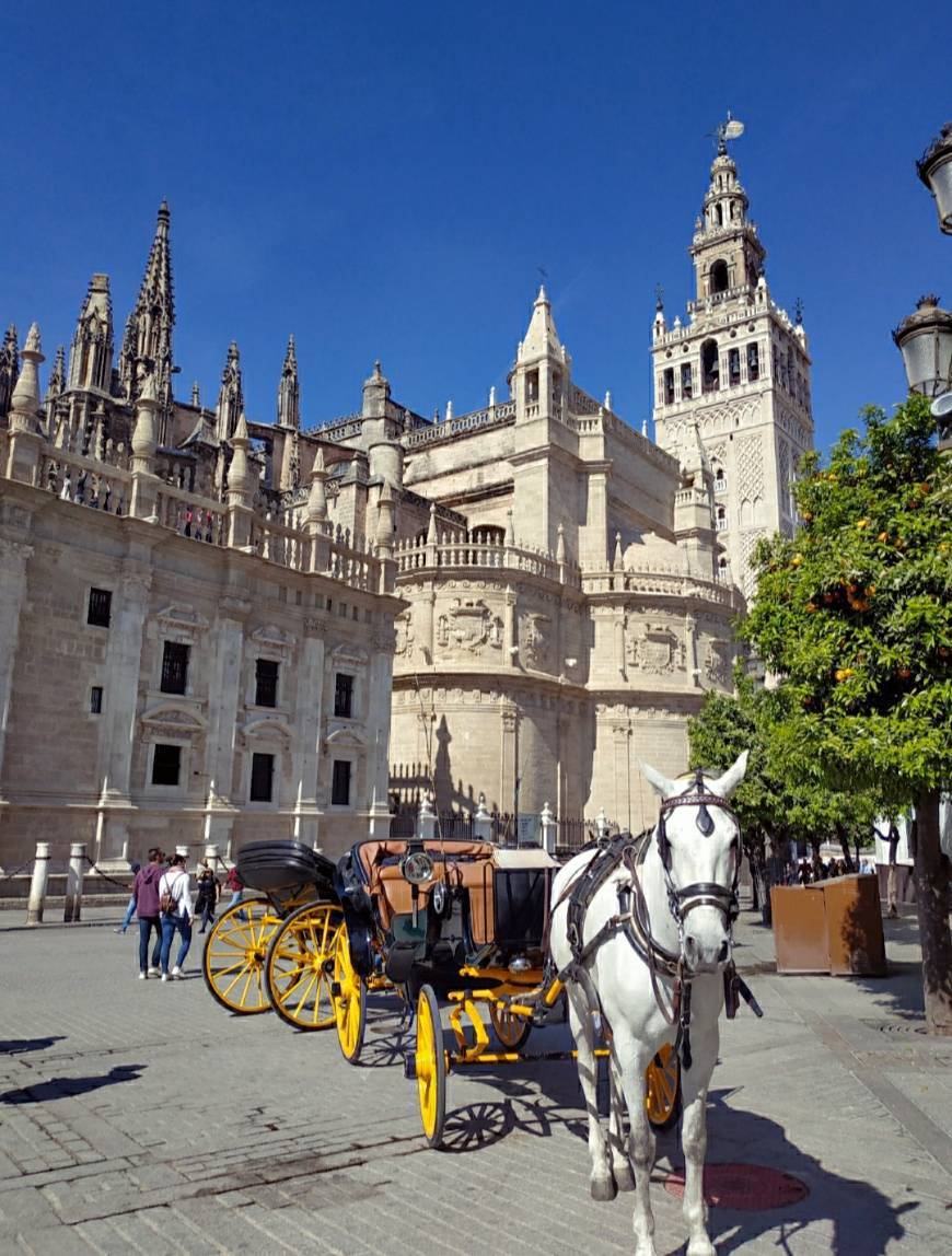 Place Sevilla