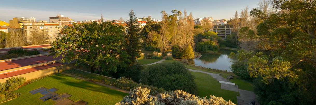 Social Jardim Gulbenkian