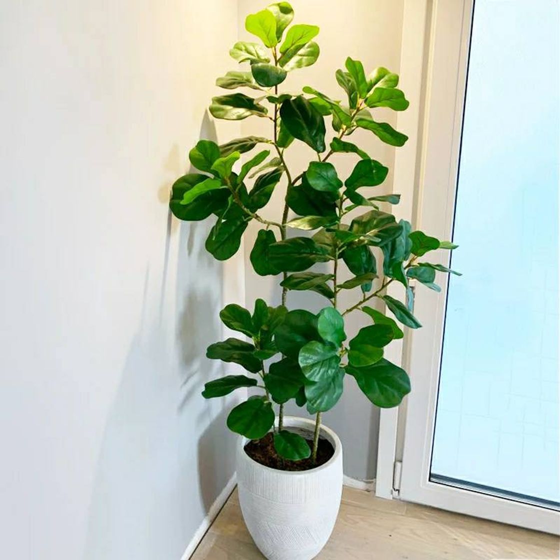 Moda Plant Vase (with Cupom)