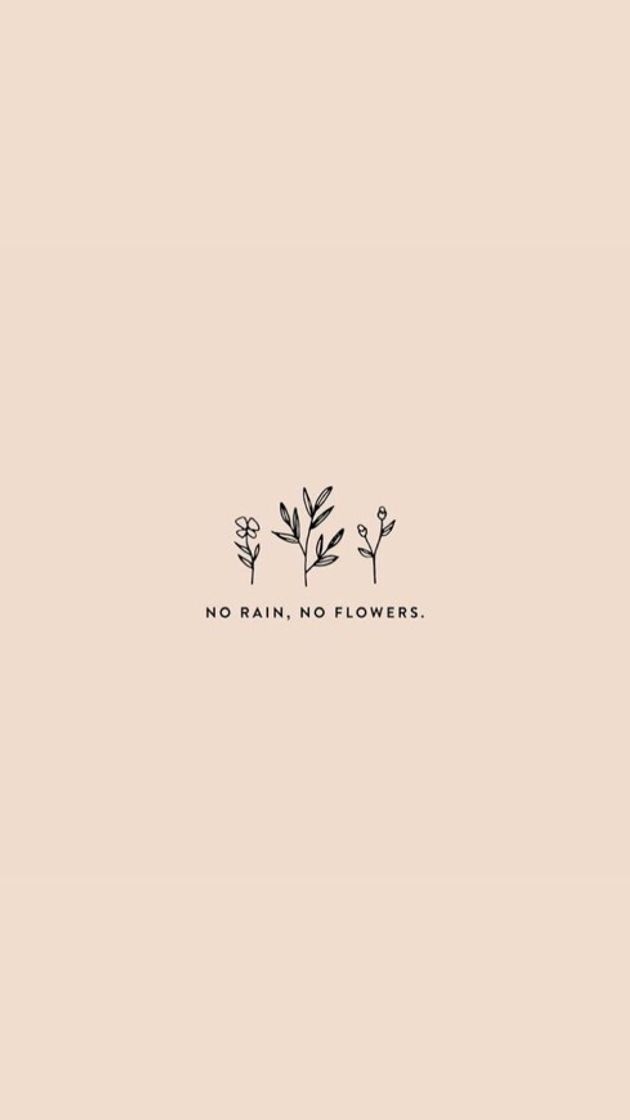 no rain no flowers