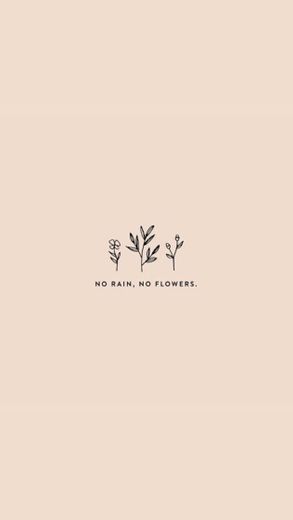 no rain no flowers