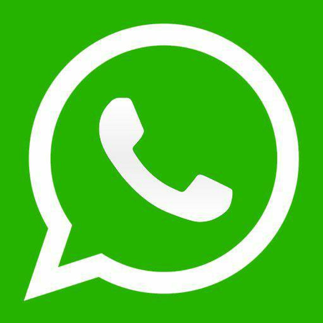 App WhatsApp 