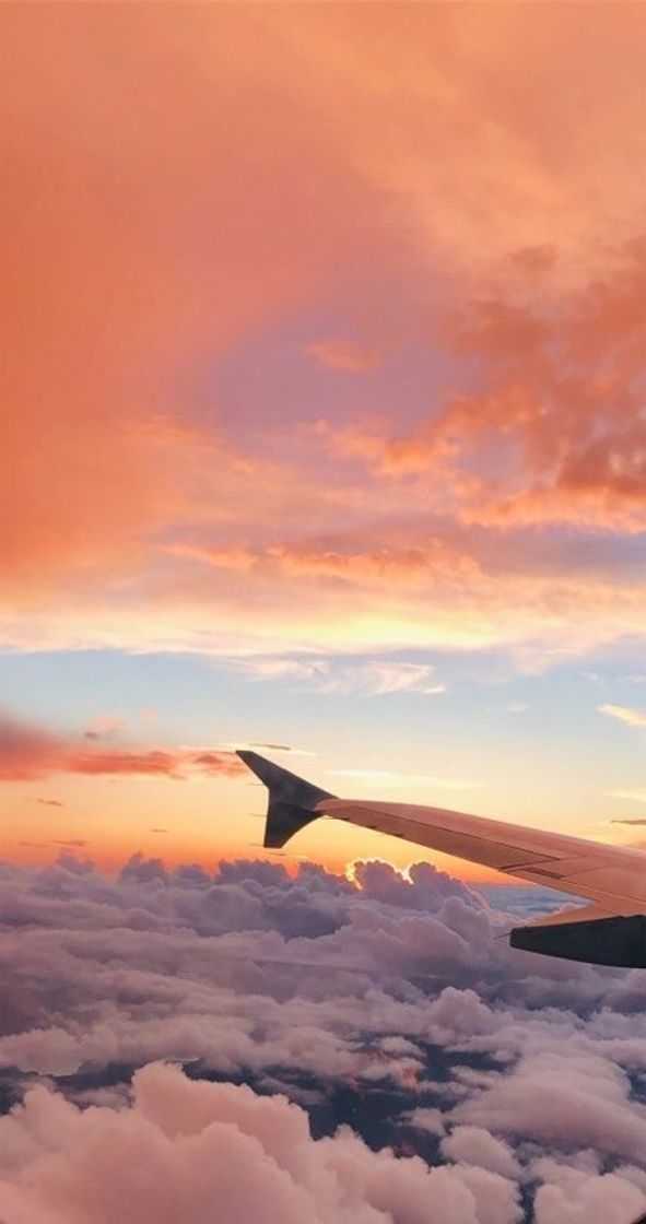 Social red sky trip