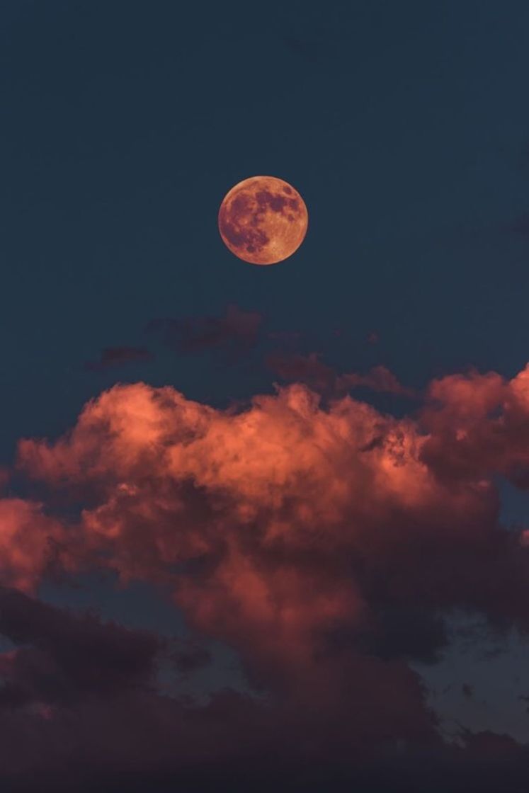 Social La luna nuova 