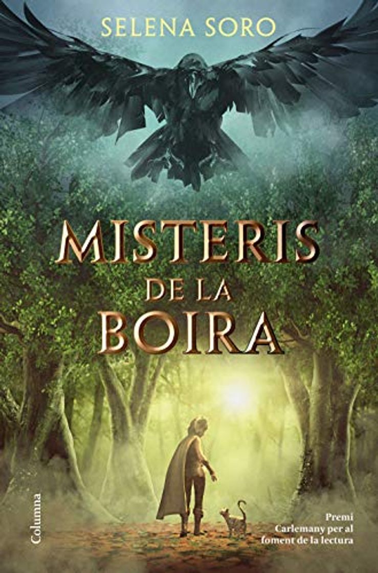 Misteris de la boira: IX Premi Carlemany per al Foment de la
