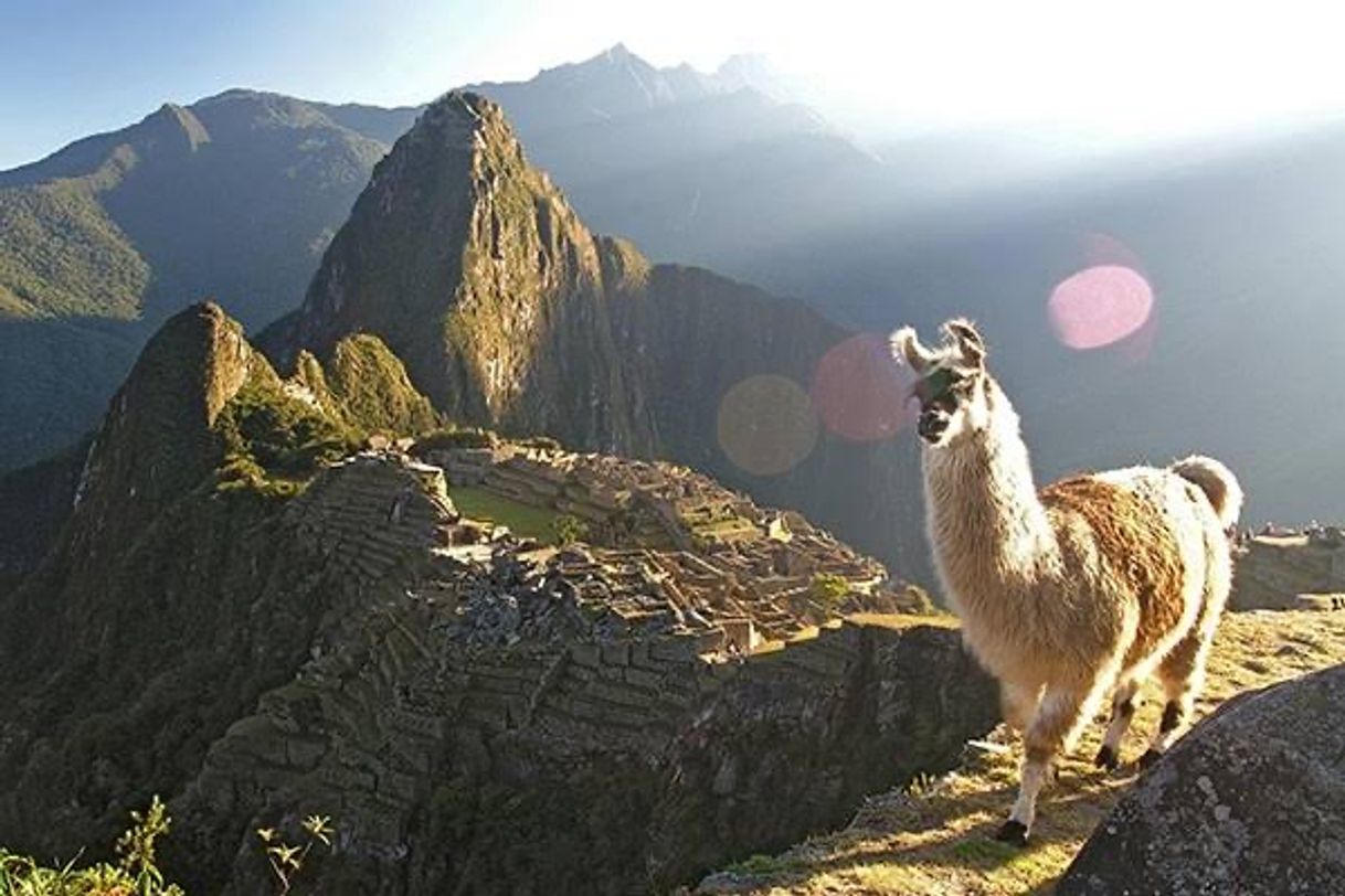 Place Machu Picchu