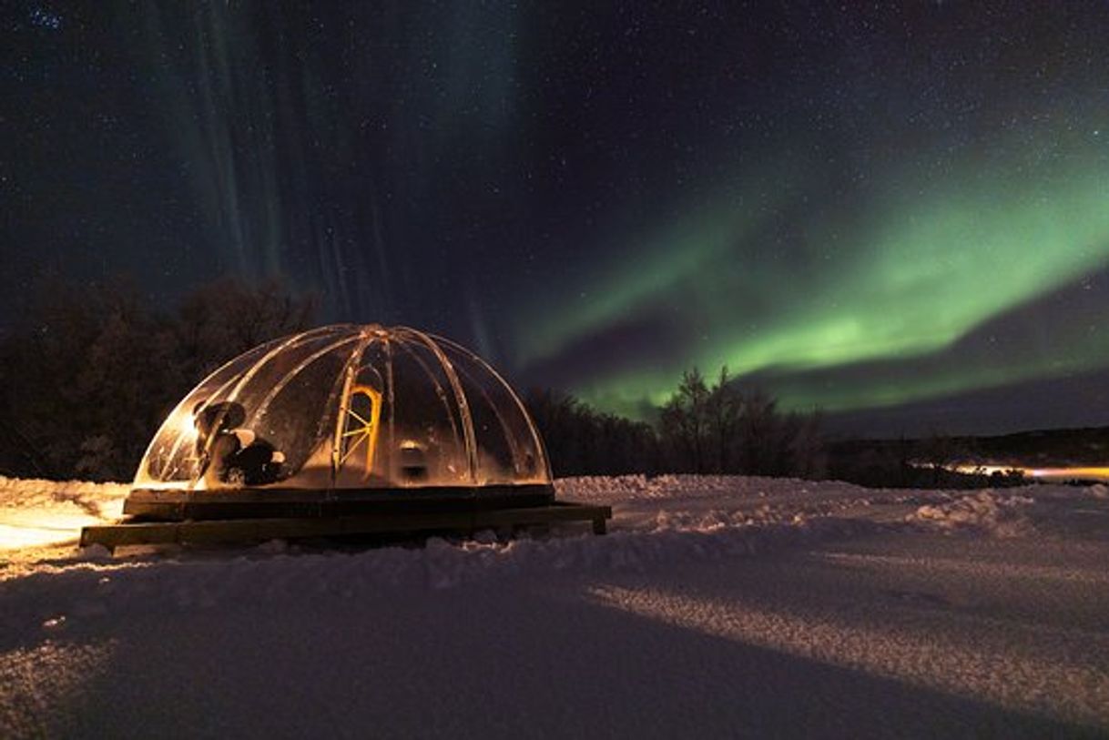 Lugar Aurora Borealis Observatory