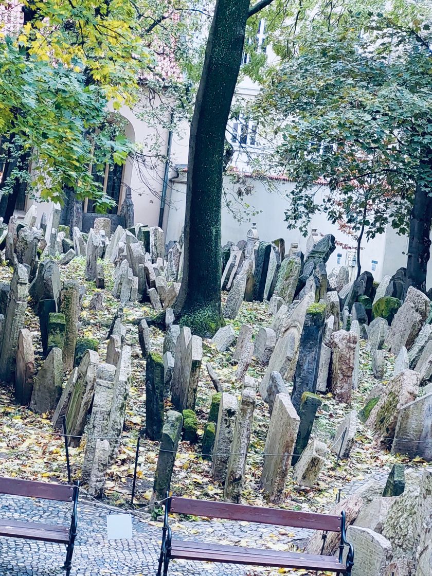 Place Old Jewish Cemetery