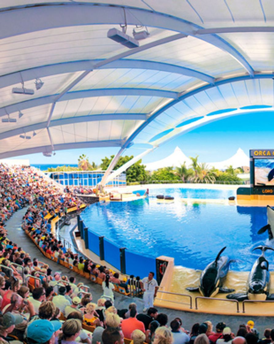 Lugar Loro Parque