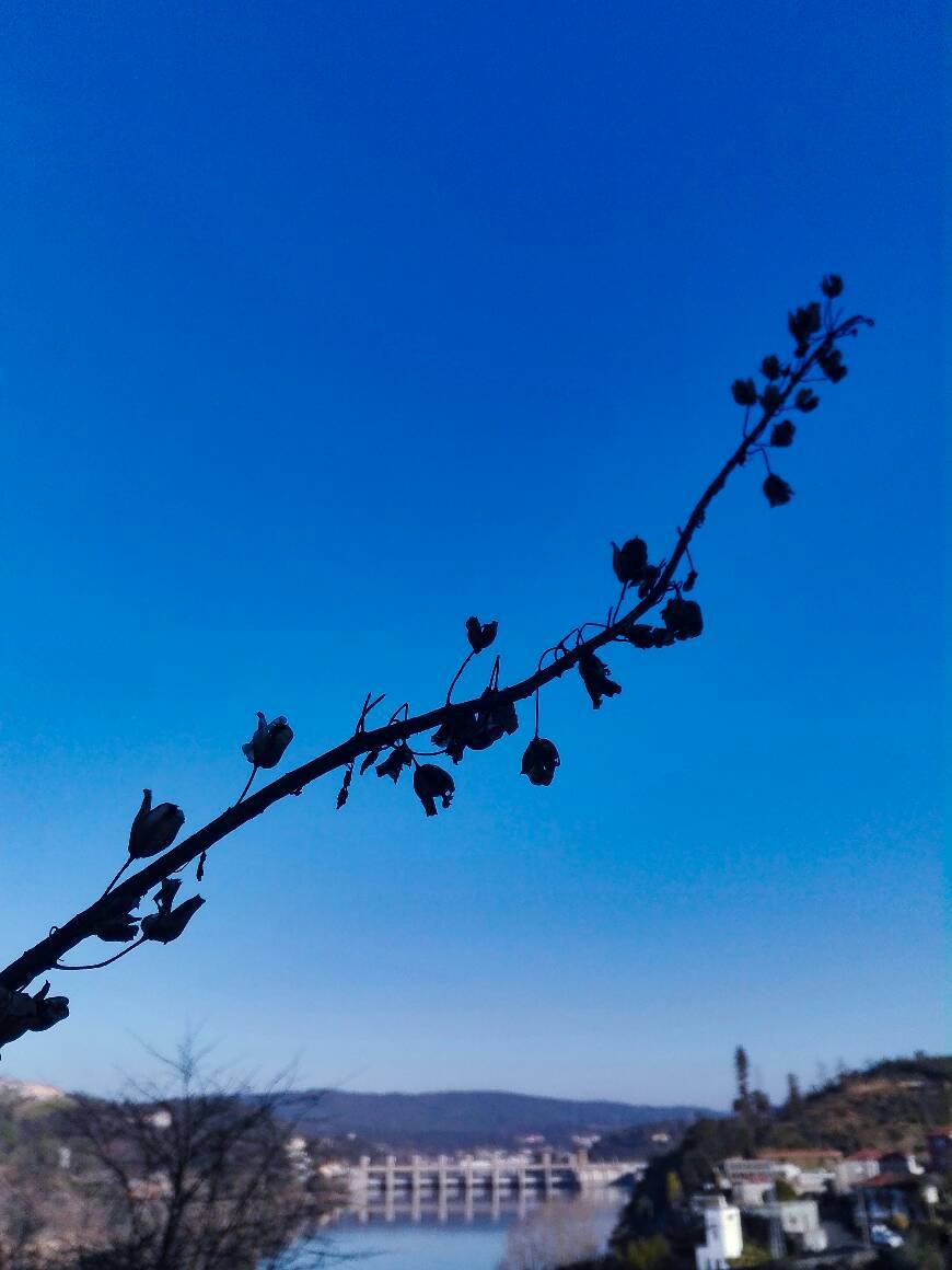 Lugar Barragem de Crestuma-Lever