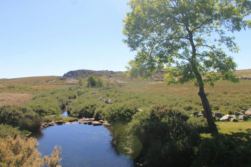 Lugar Serra Da Freita