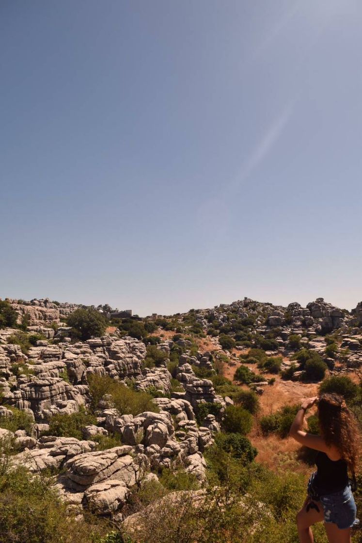 Place El Torcal