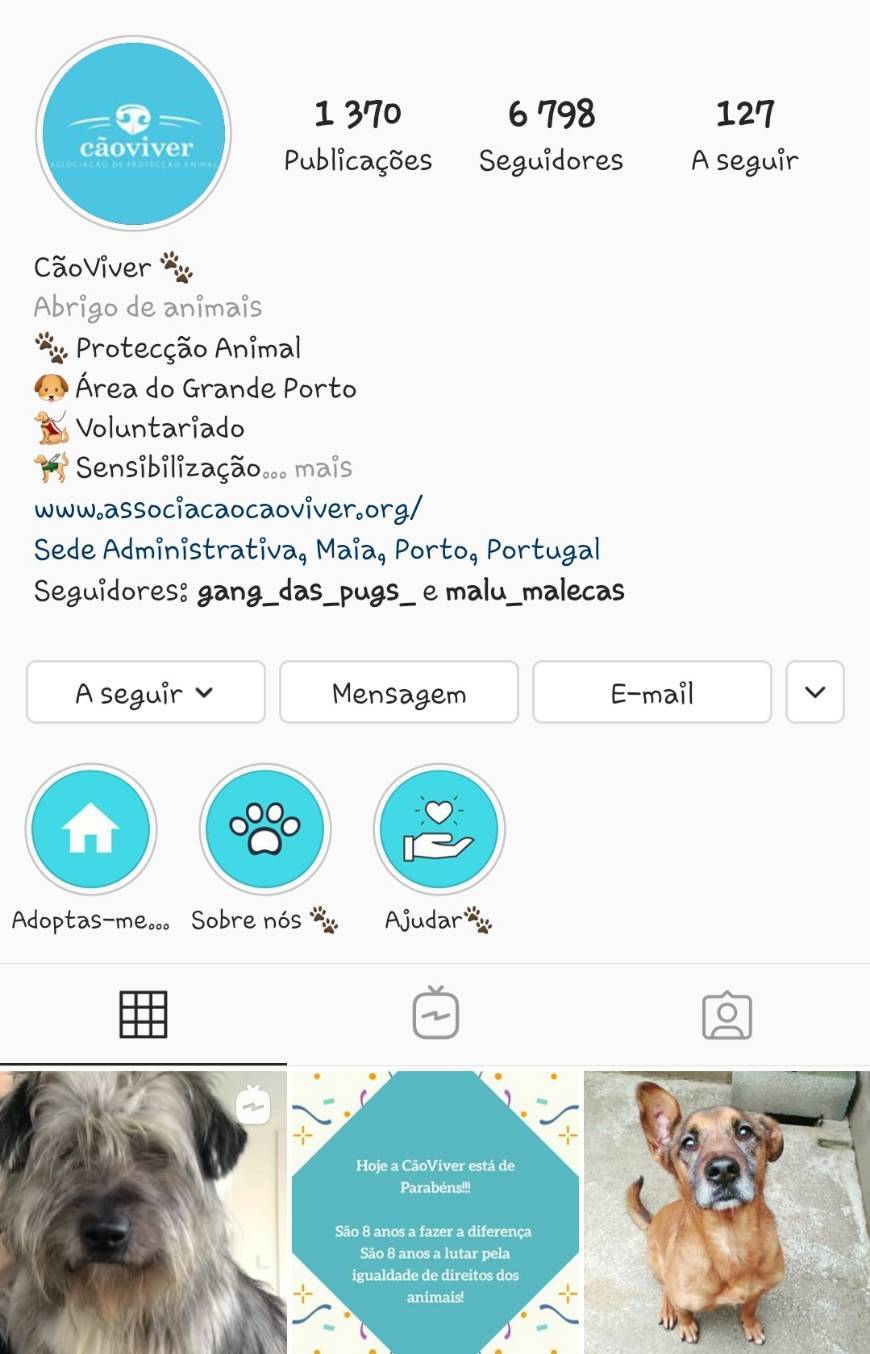 Fashion Instagram da CãoViver