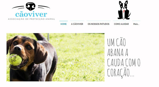 CãoViver - Associação de Protecção Animal