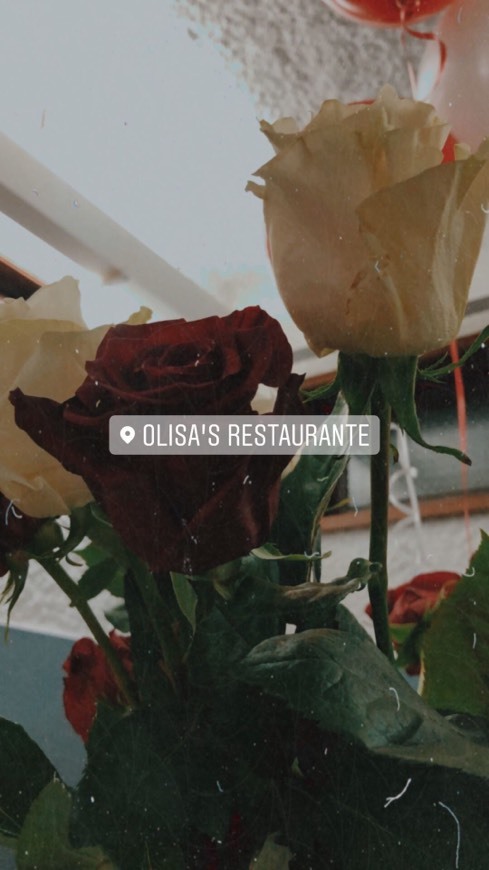 Restaurants Olisa's restaurante