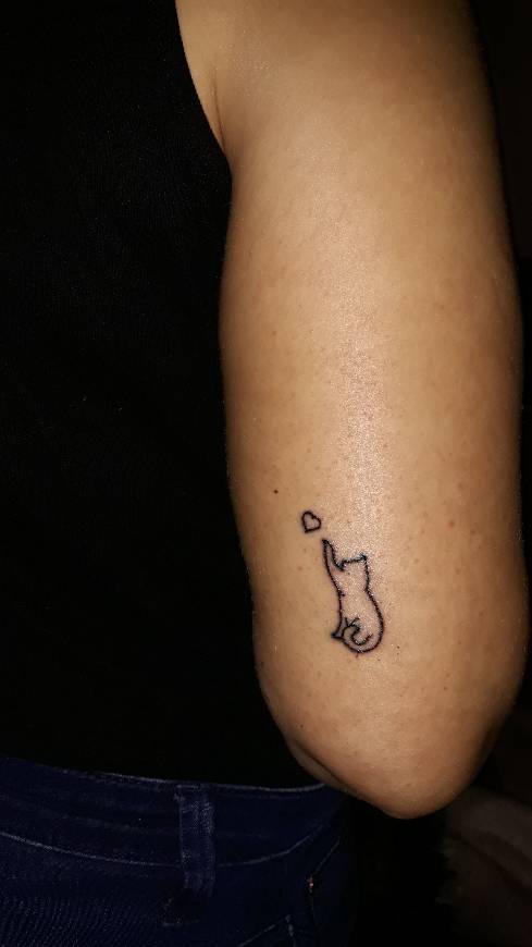 Product Tatuagem gato coração 