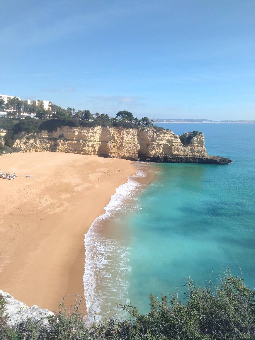 Place Praia de Nossa Senhora da Rocha