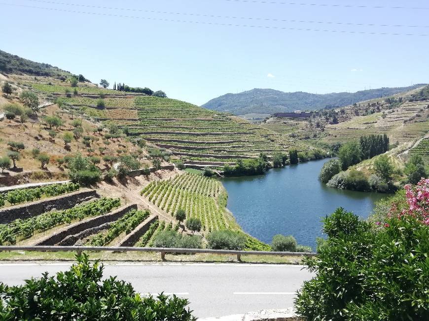 Quinta do Tedo