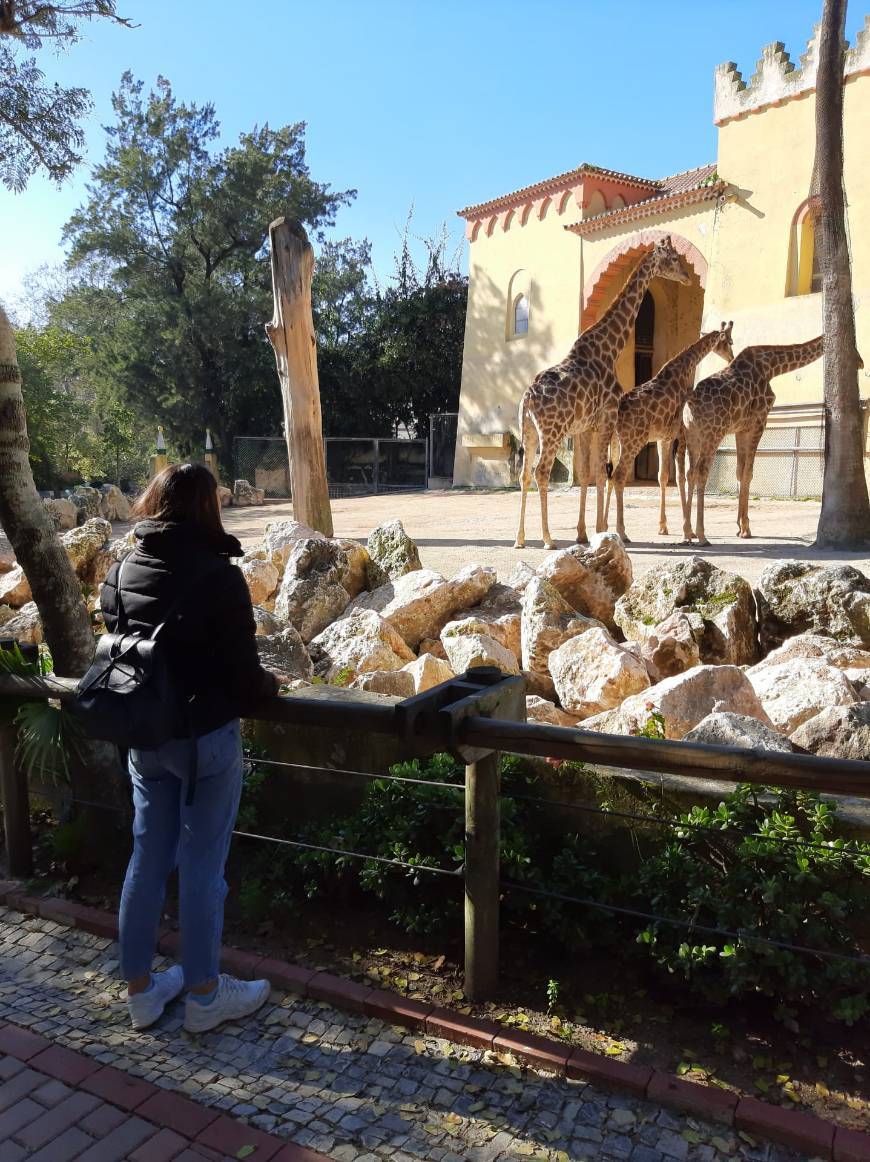 Lugar Jardim Zoológico de Lisboa