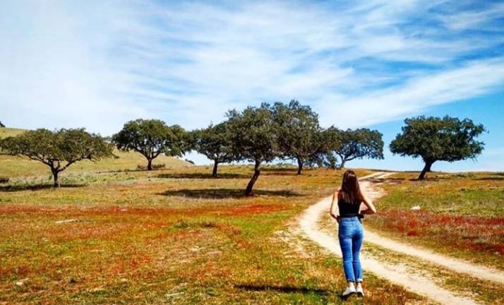 Place Viana do Alentejo