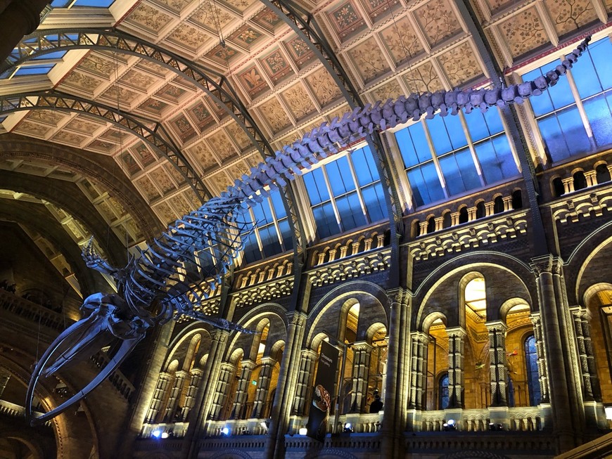 Place Natural History Museum