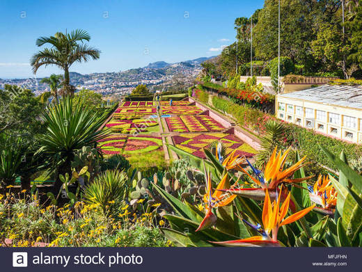 Jardín Botánico de Madeira