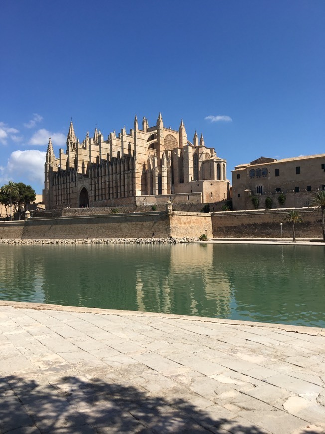 Lugar Catedral-Basílica de Santa María de Mallorca