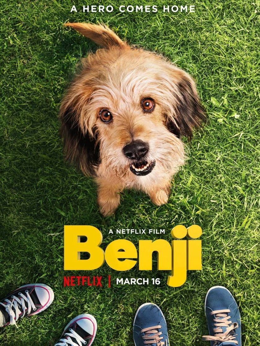 Movie Benji | Netflix Official Site