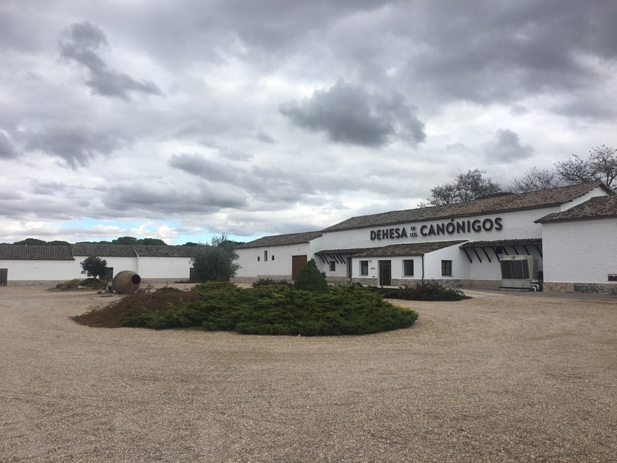 Place BODEGA DEHESA DE LOS CANÓNIGOS