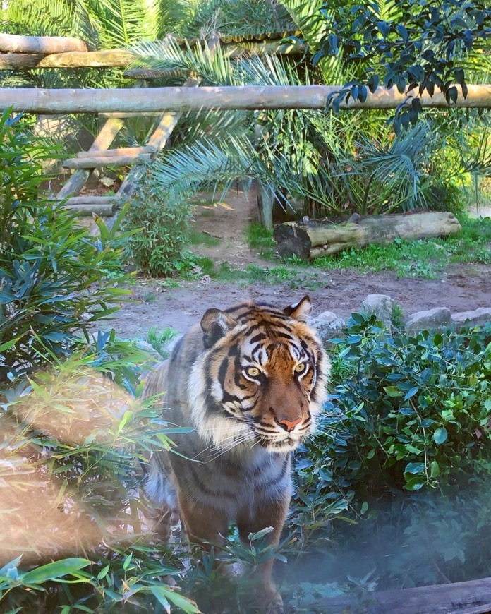 Place Jardim Zoológico de Lisboa