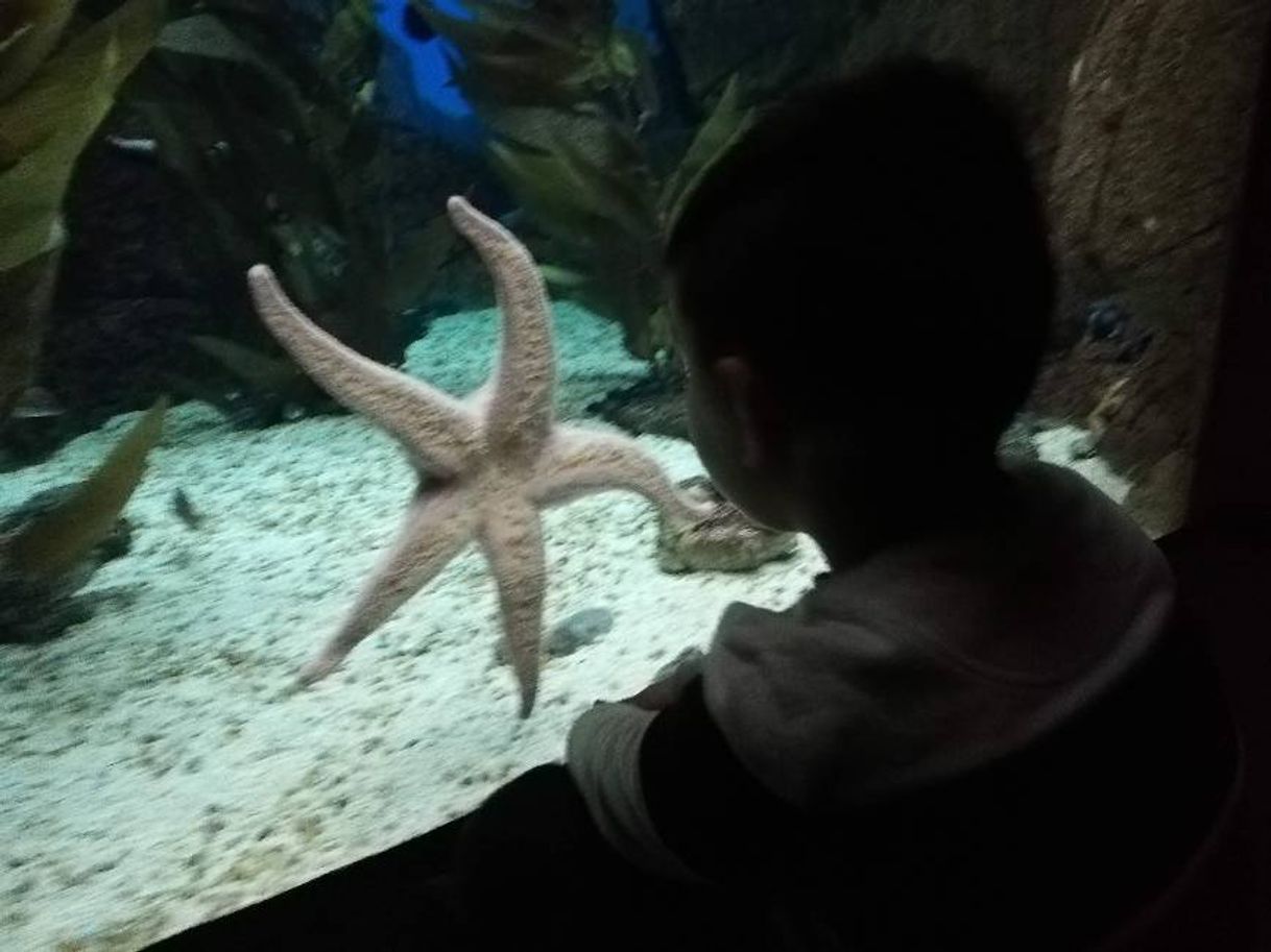 Fashion Oceanário de Lisboa