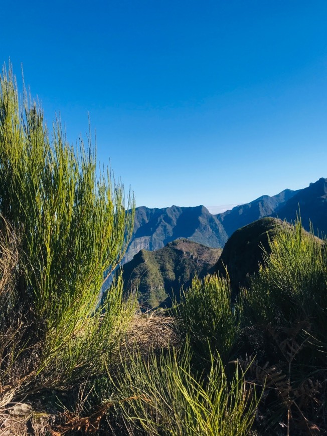 Lugar Madeira Islands