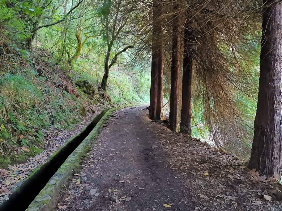 Place Levadas Madeira | Walking in levadas Madeira Guide - Booking levadas