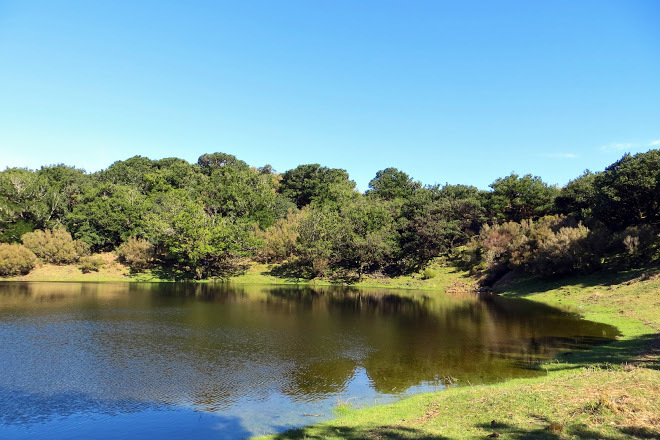 Place Fanal Pond