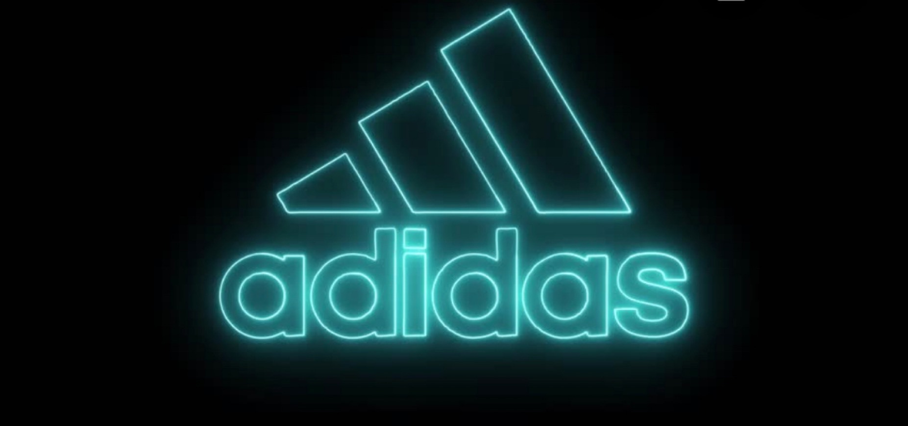 Fashion Adidas