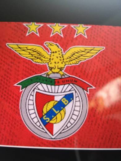 SL Benfica: Site Oficial do Sport Lisboa e Benfica