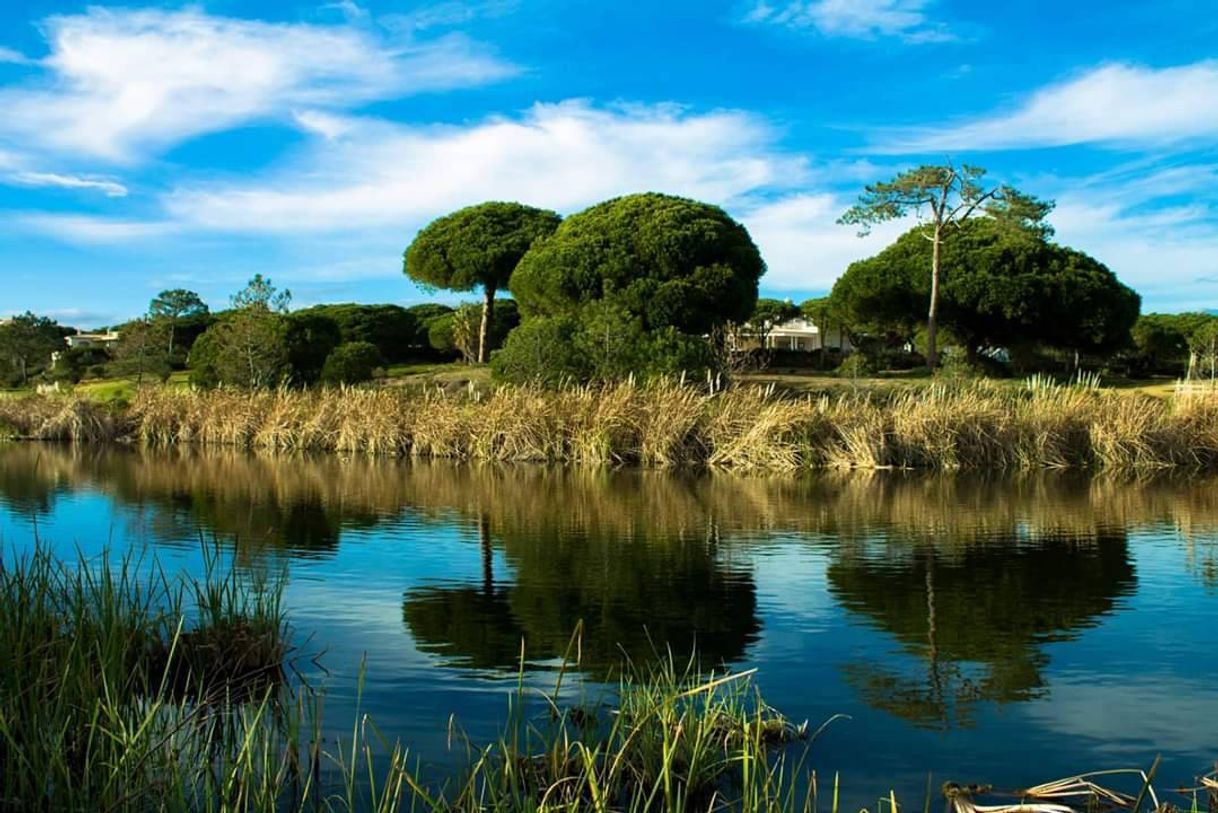 Lugar Quinta do Lago