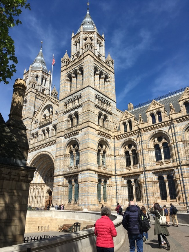 Place Natural History Museum