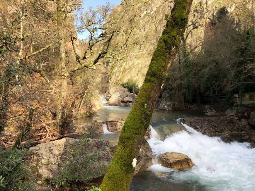 Lugar Fragas de São Simão