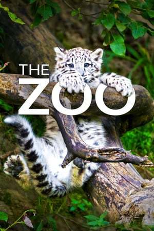 Serie The Zoo