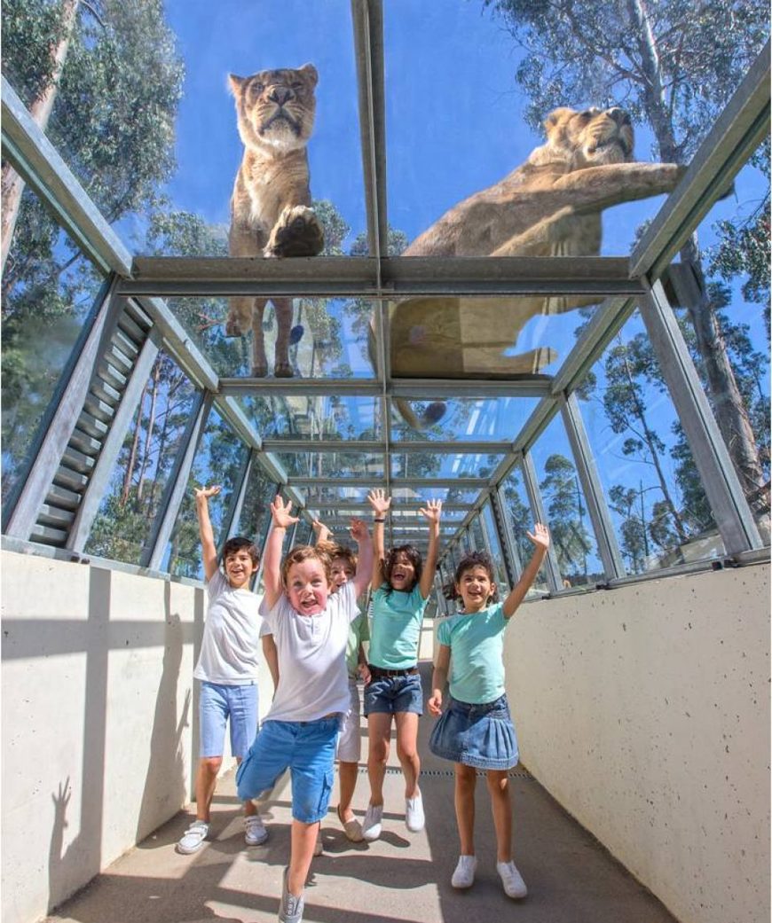 Lugares Zoo Santo Inácio - Porto