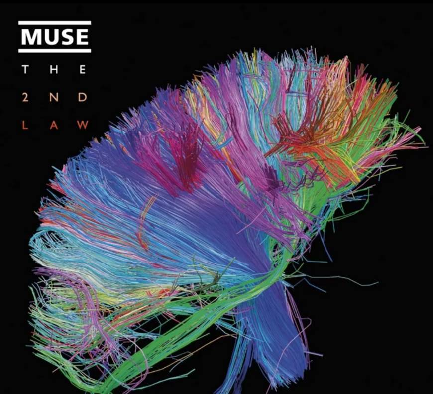 Music Muse - Survival