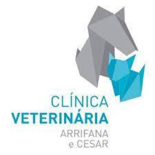 Clínica Veterinária de Arrifana e Cesar