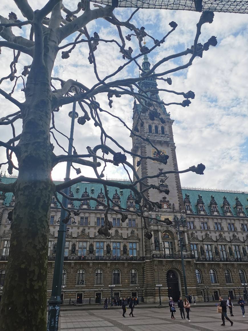 Lugar Ayuntamiento de Hamburgo