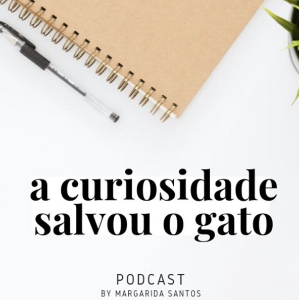 Moda a curiosidade salvou o gato