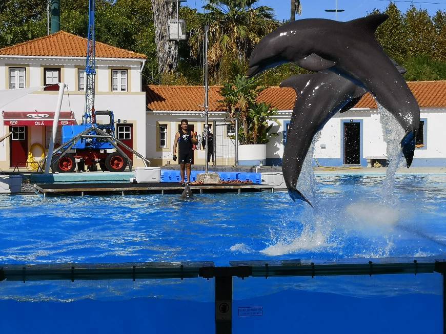 Place Jardim Zoológico de Lisboa
