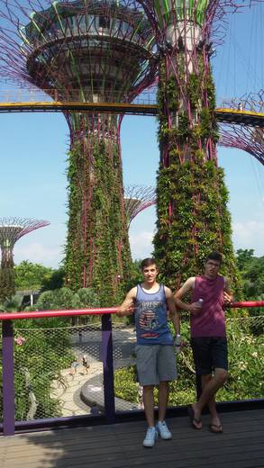 Gardens by the Bay - Office